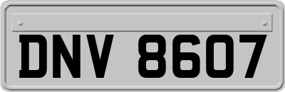 DNV8607