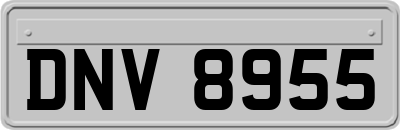 DNV8955