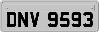 DNV9593