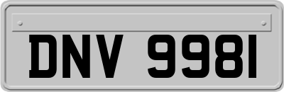 DNV9981