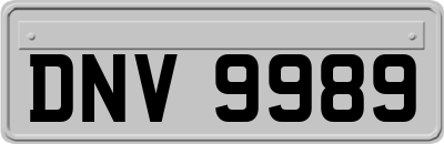 DNV9989