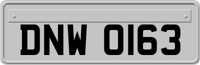 DNW0163