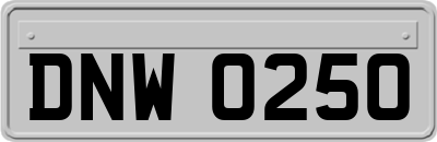 DNW0250