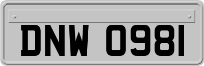 DNW0981