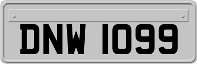 DNW1099