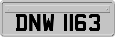 DNW1163