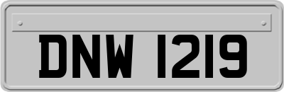DNW1219