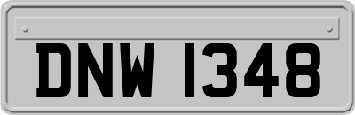 DNW1348