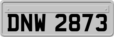 DNW2873