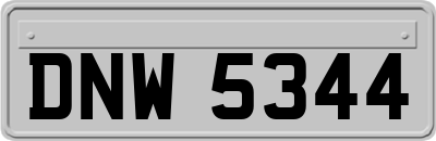 DNW5344