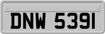 DNW5391