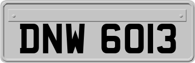 DNW6013