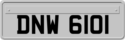 DNW6101