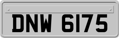 DNW6175