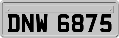 DNW6875