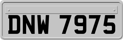 DNW7975