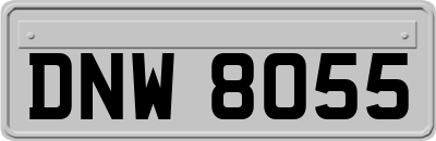 DNW8055