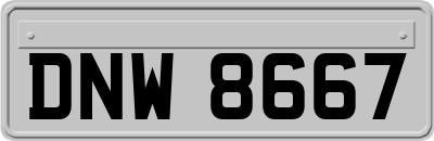 DNW8667