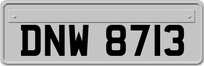 DNW8713
