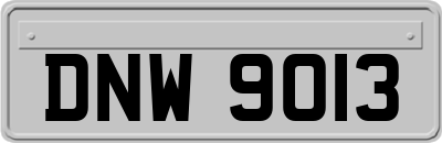 DNW9013