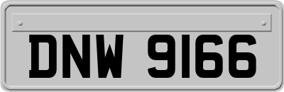 DNW9166