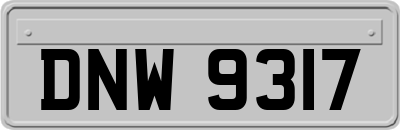 DNW9317