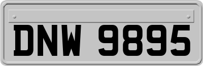 DNW9895