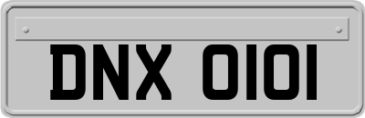DNX0101
