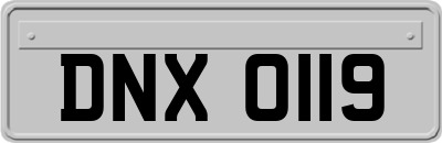 DNX0119