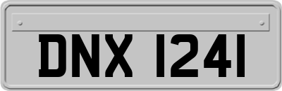 DNX1241
