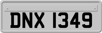 DNX1349