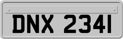 DNX2341