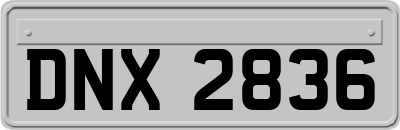 DNX2836