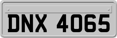 DNX4065