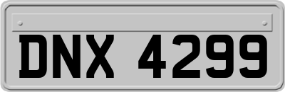 DNX4299