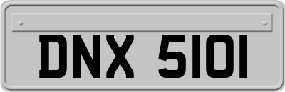 DNX5101