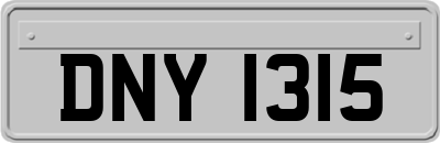 DNY1315