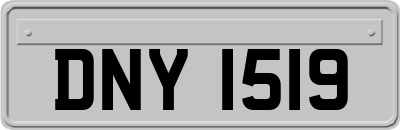 DNY1519