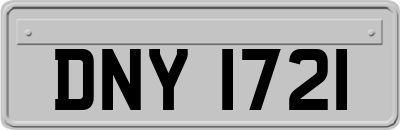 DNY1721