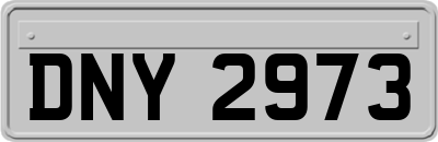 DNY2973