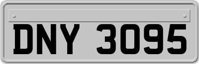 DNY3095