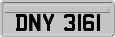 DNY3161