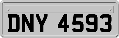 DNY4593