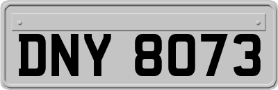DNY8073