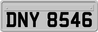 DNY8546