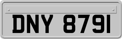 DNY8791
