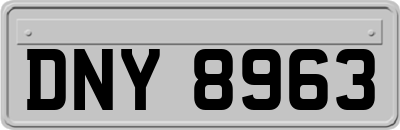 DNY8963