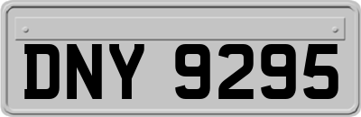 DNY9295