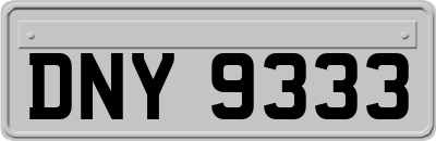 DNY9333