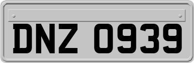 DNZ0939
